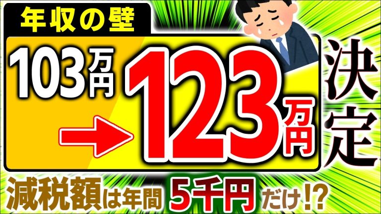 【世界最速】扶養は?手取りは?1月から年収123万円の壁対策を。減税額は年5千円!【会社員・パート・学生・個人事業主/103・106・130/社会保険・給与・配偶者/2025税制改正大綱わかりやすく】をまとめてみた
